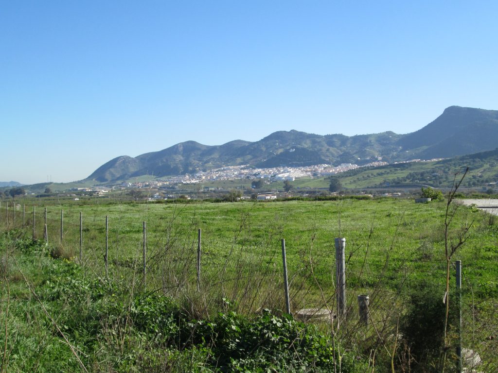 Vista de Cartama