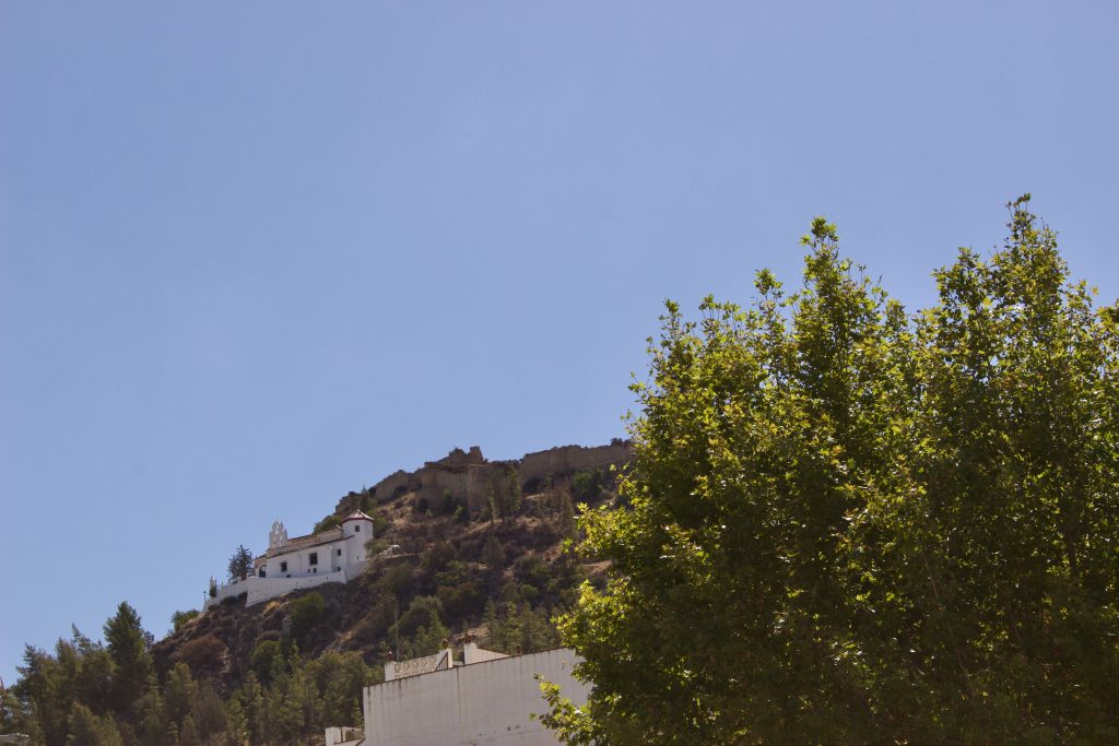 Panorámica del municipio de Cártama