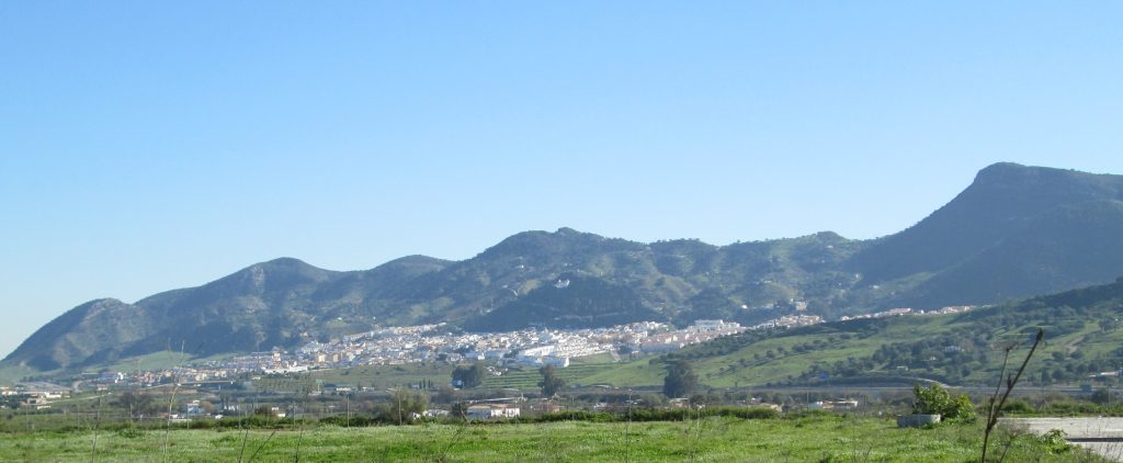 Vista de Cártama