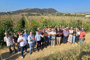 Presentación del arranque de la campaña 2026 del Tomate Huevo Toro del Valle del Guadalhorce