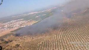 Efectivos del Plan Infoca trabajan en la extinción del incendio forestal de Humilladero (Málaga).