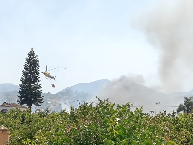Incendio forestal en los cañaverales del Río Fahala, Alhaurín el Grande, 14 de julio de 2026