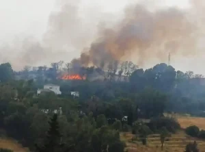 Medios del Plan INFOCA trabajando en el incendio forestal declarado en Pizarra el 21 de julio de 2026