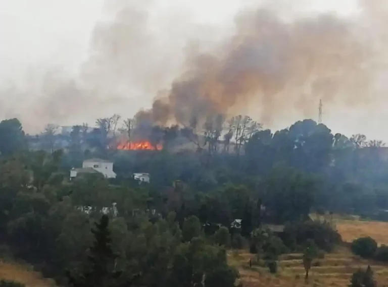 Medios del Plan INFOCA trabajando en el incendio forestal declarado en Pizarra el 21 de julio de 2026
