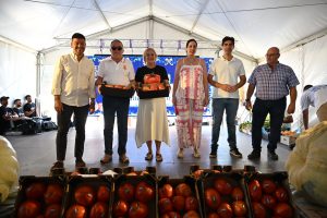 Caja ganadora del Concurso-Subasta Benéfica del Tomate Huevo de Toro de Coín, 15 de agosto de 2026