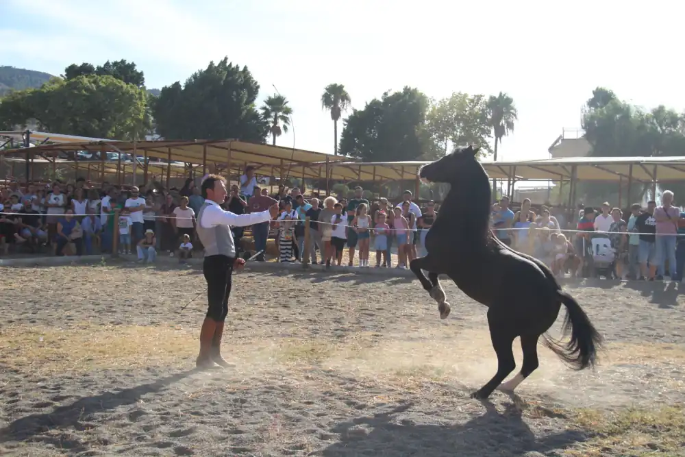 Ganado equino en el recinto ferial de Cártama durante la edición de septiembre de 2026