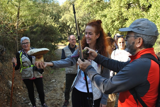 Participantes en las Jornadas Micológicas de Monda recogiendo setas en la Sierra de las Nieves